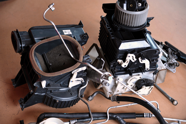 1117 s3 DSC_8496.jpg